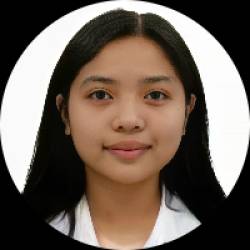 Professional Virtual Assistant