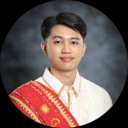 IT Professional