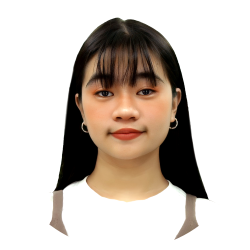 Multimedia Artist