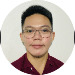 PROFESSIONAL VIRTUAL ASSISTANT