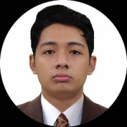 Freelancer