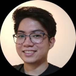 Wordpress Developer