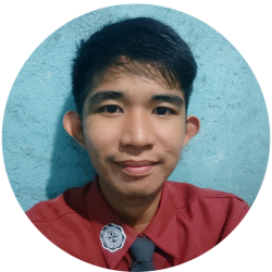 JUNIOR PROGRAMMER | VIRTUAL ASSISTANT