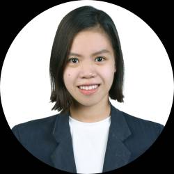 Solutions Analyst