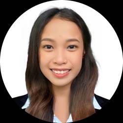 Executive Virtual Assistant