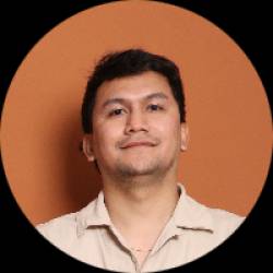 Implementation Analyst
