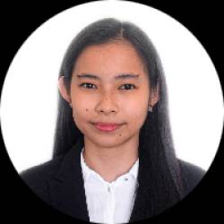 Registered Electrical Engineer
