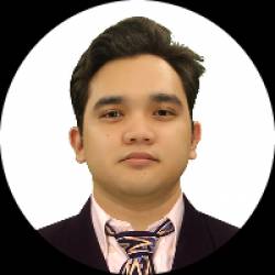 Customer Service and IT Professional