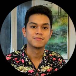 Data Analyst