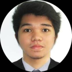 media analyst