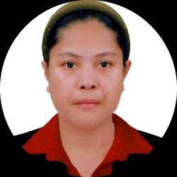 Social Media Manager