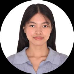 Application Developer