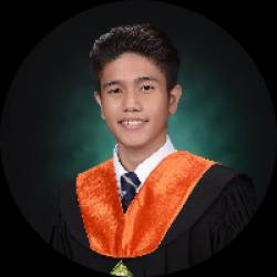 Programmer/ Developer