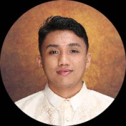 Bubble io | WordPress | Web Developer | Automation
