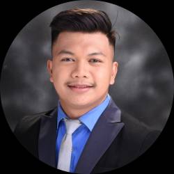 Project Engineer