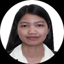 Accountant / Analyst