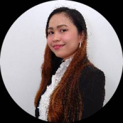System Analyst