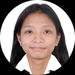 Network Management System Engineer