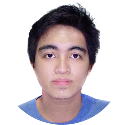 Web Developer - Elementor Wordpress