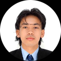 AI Automation Developer