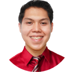 Web Developer / IT Specialist