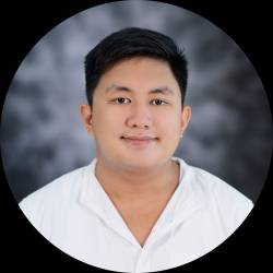 Software Developer