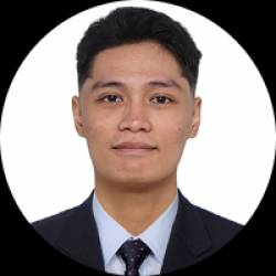 Software developer