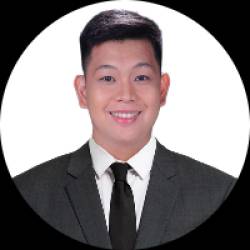 Virtual Assistant, Data Analyst
