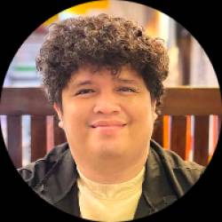 WordPress Developer