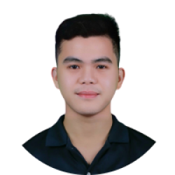 Freelancer