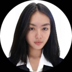 Multimedia Artist