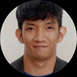 Software Quality Analyst