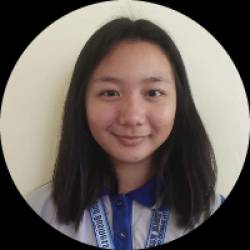 Virtual Assistant