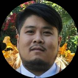 Software Developer / Technical Manager