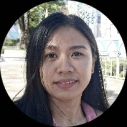 WordPress Developer | Elementor | Custom Themes