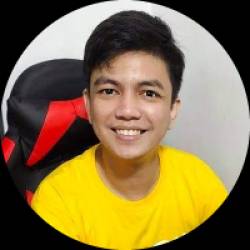 Freelancer