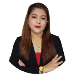 PROFESSIONAL VIRTUAL ASSITANT
