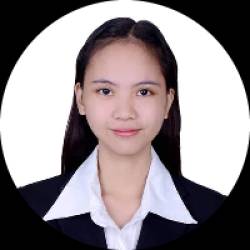 Civil Engineer