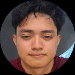 Social Media Manager