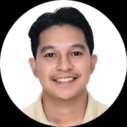 Software Developer