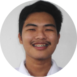 Data Analyst