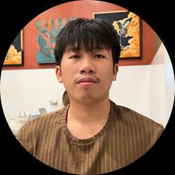 WordPress Developer and Elementor Pro Expert