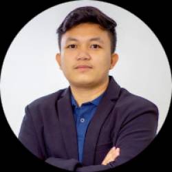 Remote Financial and Business Strategy Consultant