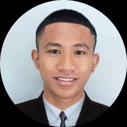 Web Developer