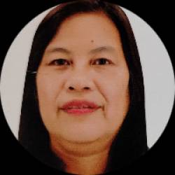 Business Area Financial Officer