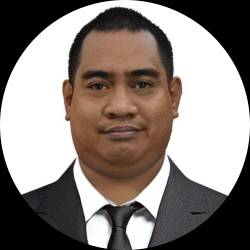 IT Professional