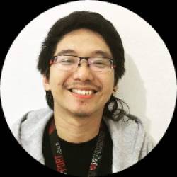 Data Analyst