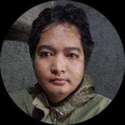 Software Developer