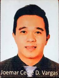 Freelance Data Entry Analyst