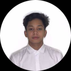 Software Developer